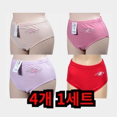HSG 국내생산 안심 기능성 할머니 빨아입는 여성 여자 요실금 팬티 4색상 1세트