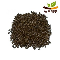 농부애뜻 국산 결명자 500g 차/음료, 1개