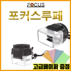 포커스루페