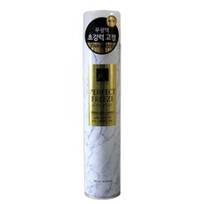 LG 엘라스틴 퍼펙트 프리즈 헤어스프레이 플로럴향 300ml 12개입 BOX 뷰티 > 헤어 헤어스타일링, 12