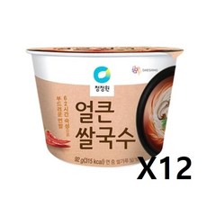 종가집 얼큰 쌀국수, 92g, 12개