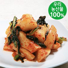 [담채원]학교급식납품업체 !국내산 김치들, 총각김치 1kg