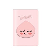 여권케이스카카오