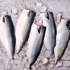 국내산순살고등어100-120g x10팩_냉동, 10개