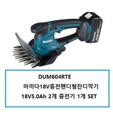dum604rte
