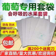 외 엘로 안 블랙 전용 봉지 오디 방지 벌레주머니 아들 나무위, 28 *36 반 투명커버 주머니 10