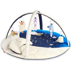 Skip Hop 아기 놀이 체육관 천상의 꿈 회색, Play Gym, 1개