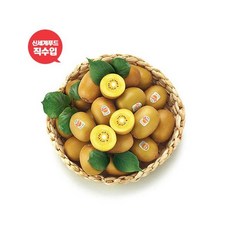 [제스프리] 신세계푸드 수입 썬골드키위 3kg 내외 (개당 110~120g), 상세 설명 참조
