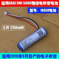 전자색소폰 입문용색소폰 AKAI EWI 5000/5000 솔로전자 취관 배터리 적용, 01 자카르타 5000배터리(18650배터리