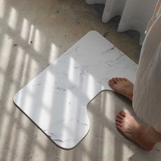 규조토발매트세척