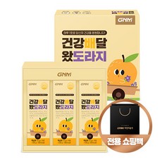 [쇼핑백 증정] GNM 건강배달 왔도라지 국산 배도라지청 스틱 선물세트 / 도라지배즙 도라지농축액, 3박스, 10포