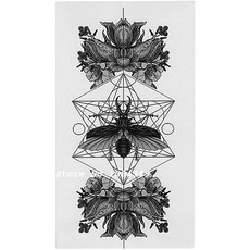 유핏뿌리는스타킹