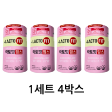 락토핏맘스 락토핏 맘스 유산균 480g 2세트
