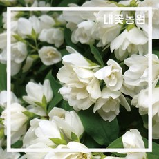 2a855e35a966e5da24ef90ef60b12559041ff98f91e44785f3f13579a53a.jpg