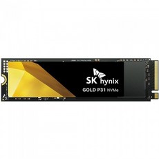 SK하이닉스 GOLD P31 NVMe SSD, HFS2T0GDF9X1072, 2TB