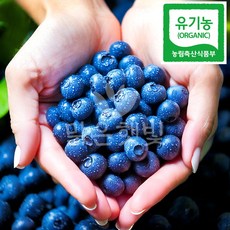 국내산 프리미엄 친환경 유기농 블루베리, 1박스, 300g(13mm이하)