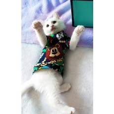 소잉디자이너펫의상