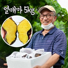 해원농장 열매마 하늘마 하늘열매마 1키로 5키로 마 판매 가격 씨앗 열매, 일반종자용, 5kg