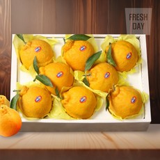 달콤새콤 제주 한라봉 선물세트, 1개, 특3호 (3kg/6~8입)