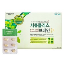 브레인큐플러스