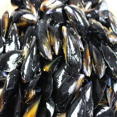 통영 홍합1kg 90미 손질 해감 홍합탕 홍합찜, 1개, 1kg_90미