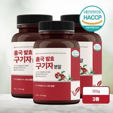 유산균발효구기자