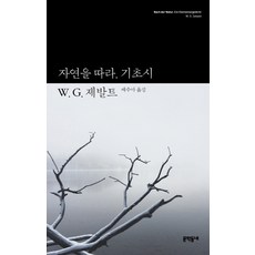 아우스터리츠