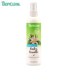 향좋은샤워코롱추천