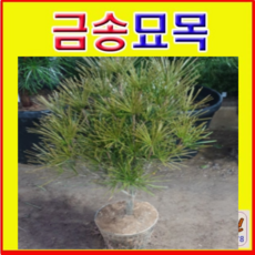 a93e2b9465faf7f8ff4cb0a6be010baf51b42d147a3e064554d0fb009f83.png