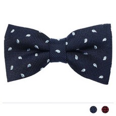 유아니트보타이