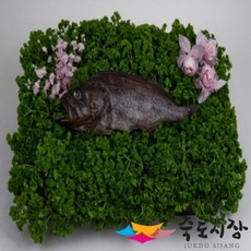 죽도시장 우럭(제수용)1미(35cm이상), 단품, 1개