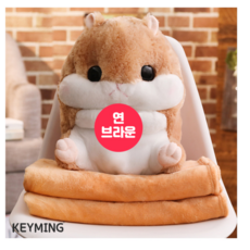 사무실무릎담요