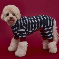 Dog-i Twin Dangar 一體機, 海軍藍