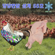 5호닭