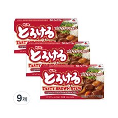 에스앤비 간편식 풍미가득 테이스티 브라운 스튜 160g 9개
