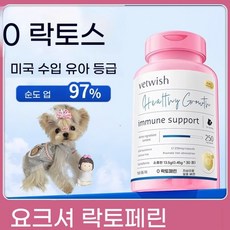 말티즈 영양제 락토페린 면역강화 건강 증진 펫케어 보충 유당제거 영양소, 13.5g 1병, 1개