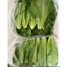 로메인 로메인상추 통로메인 2kg [원산지:국산], 1개