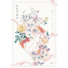 소설이드