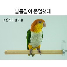 엔젤버드 발톱갈이 온열횃대, 대형, 1개