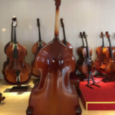 더블베이스콘트라베이스