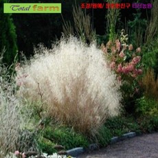 7bd5cc6e1549101a8c6c30f3e00f7f89e9b0e42446ead750cf87e446d81a.png