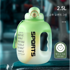 RUISI 대용량 피트니스 스포츠 물통 플라스틱 물컵, 황금 가을 오렌지 그린 2.5L [더블 드링크 디자인], 1개