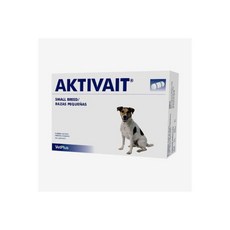 액티베이트소형견