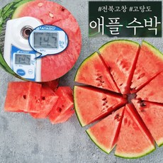 깍아먹는수박