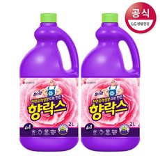 홈스타 향 락스 2L x2개, 2개