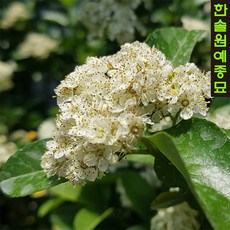6af223a0ea58112143e65f4512d22393d6818246174365a0885d028b2f8a.jpg