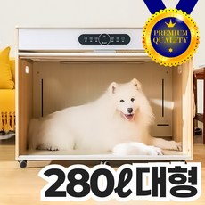 펫드라이룸