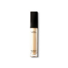 VDL AK분당점 VDL 마스터 스킨 컨실러, Free, V02