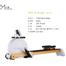 디와이DY 샤오모 스마트 자기저항 카누 노젓기 가정용 소형 무음 자기 제어 로잉머신 접이식 실내 유산소 투트랙 카누기