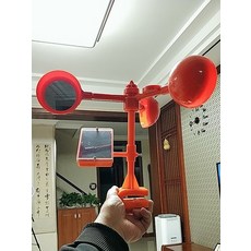 조류폭죽